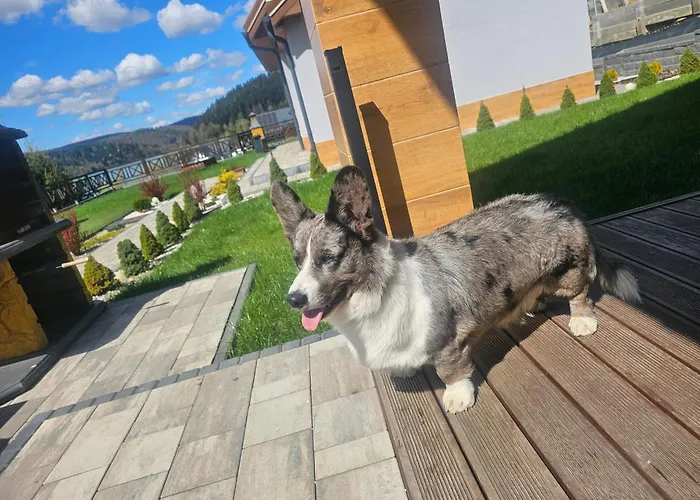 Dom Na Wzgorzu Slonce Na Wylacznosc Jacuzzi Elektryczne Sauna Rowery