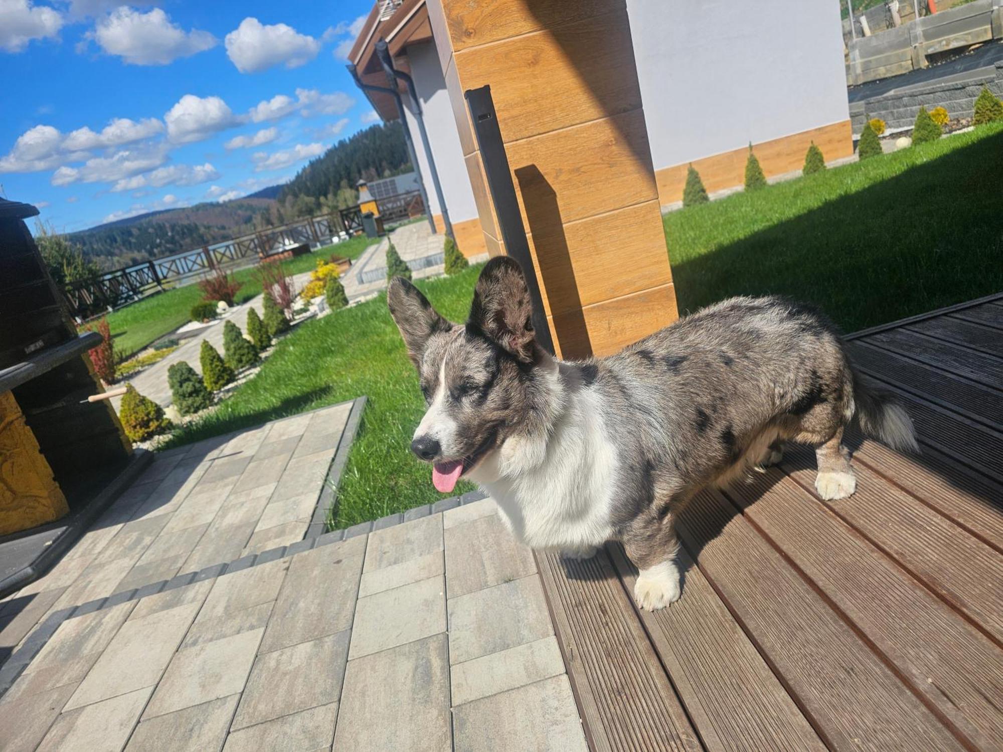 Dom Na Wzgorzu Slonce Na Wylacznosc Jacuzzi Elektryczne Sauna Rowery Zawóz